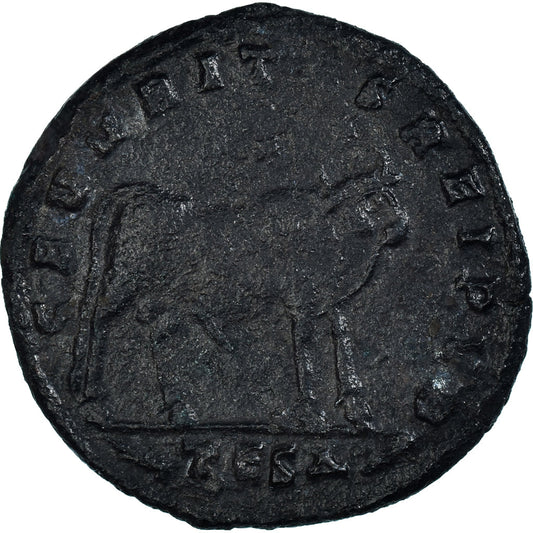 Pièce de monnaie,
Julien II,
Maiorina