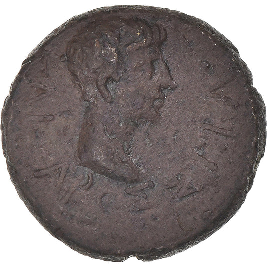 Monnaie,
Thrace,
Rhoimetalkes Ier et Auguste