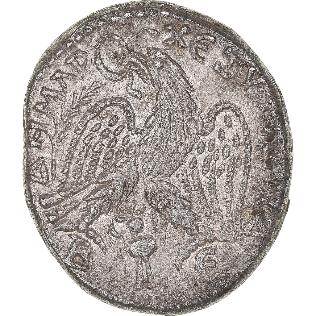 Pièce de monnaie,
Cyrrhestique,
Macrin
