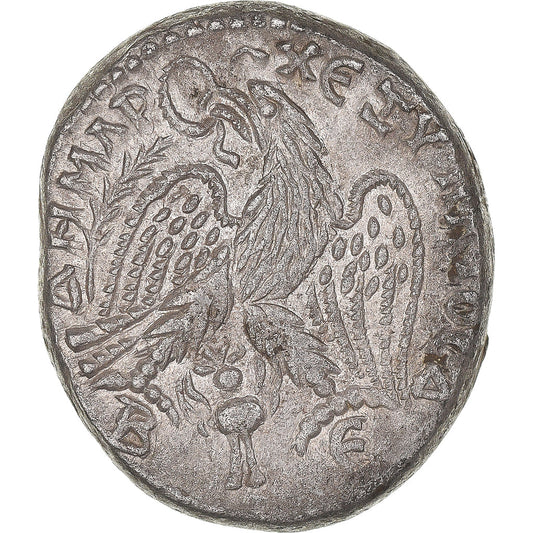 Pièce de monnaie,
Cyrrhestique,
Macrin