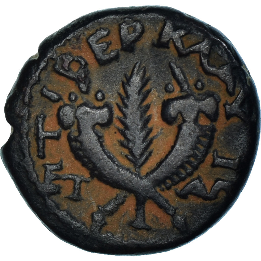 Pièce de monnaie,
Judée,
Trajan