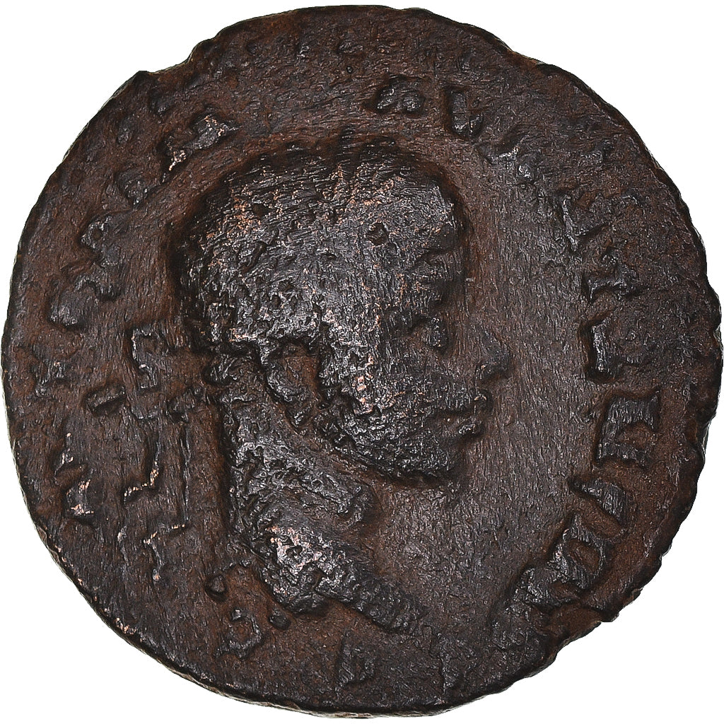 Pièce de monnaie,
Séleucis et Piérie,
Elagabalus et Julia Maesa
