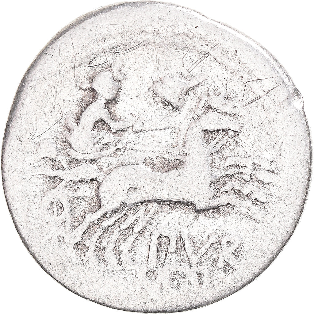 Pièce de monnaie,
Furie,
Denier