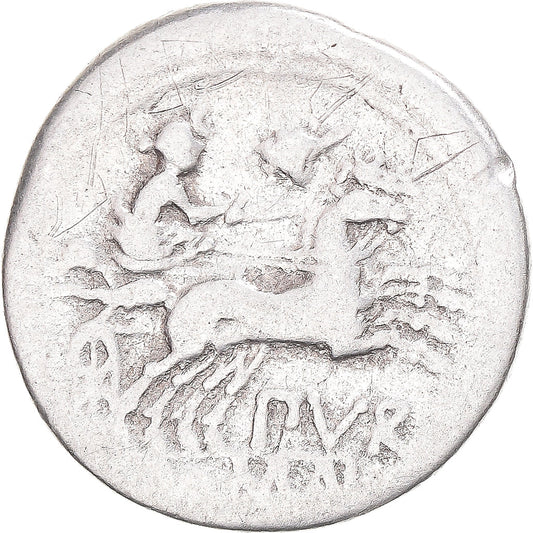 Pièce de monnaie,
Furie,
Denier