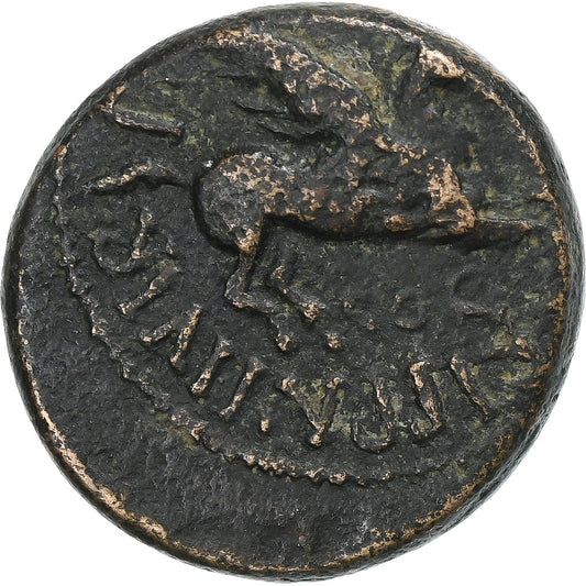 Corinthie,
Caligula,
Æ Unité