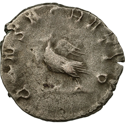 Pièce de monnaie,
Valérien II,
Antoninien