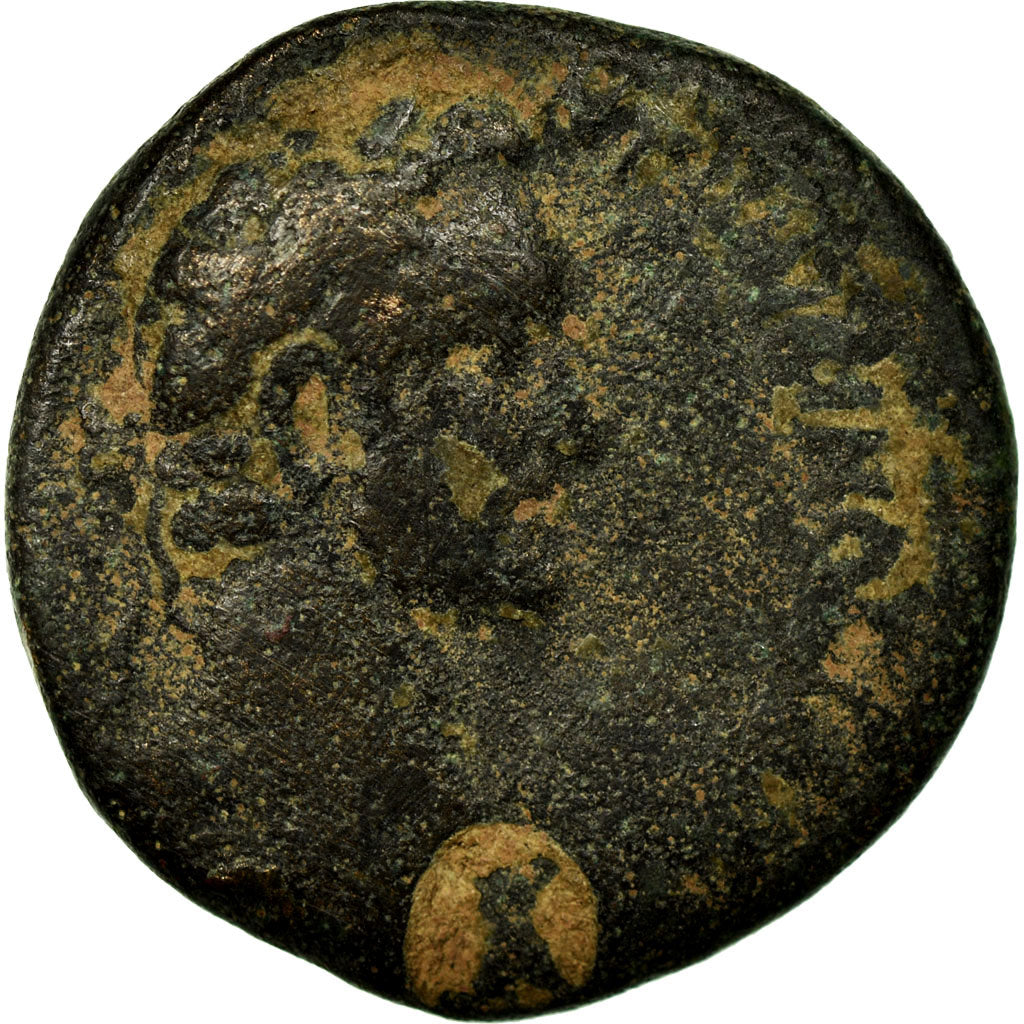 Pièce de monnaie,
Séleucis et Piérie,
Antonin le Pieux