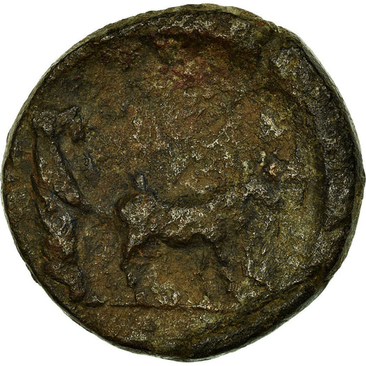 Pièce de monnaie,
Drusus,
BronzeÆ