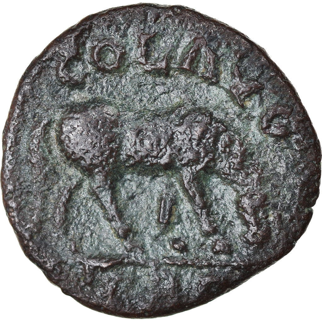 Pièce de monnaie,
Troas,
Alexandreie