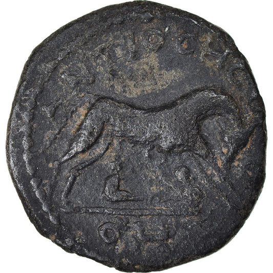 Pièce de monnaie,
Pisidie,
Sévère Alexandre
