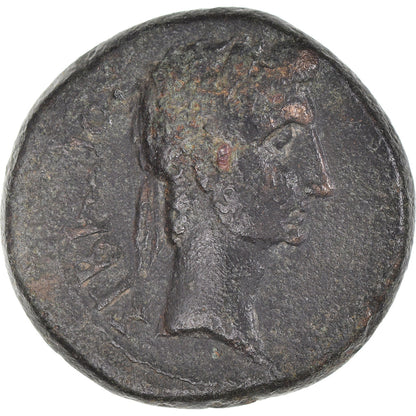 Pièce de monnaie, 
  
  Phrygie, 
  
  Auguste