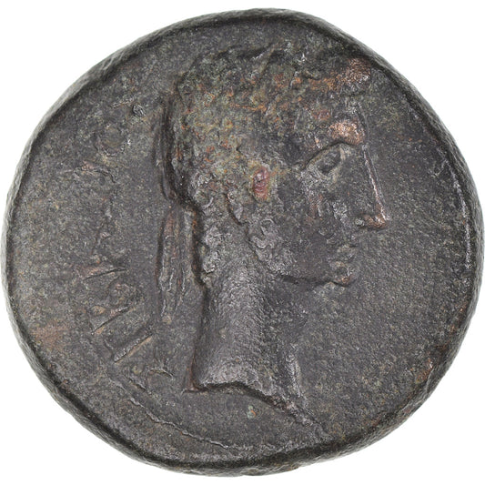 Pièce de monnaie, 
  
  Phrygie, 
  
  Auguste