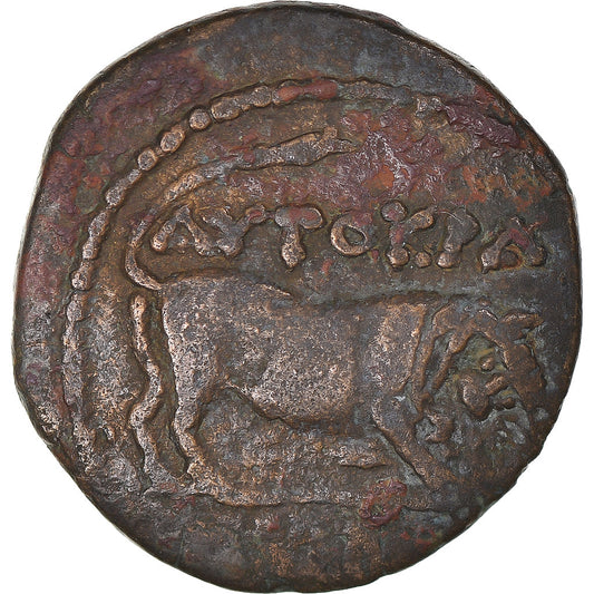 Pièce de monnaie, 

Égypte, 

Claude