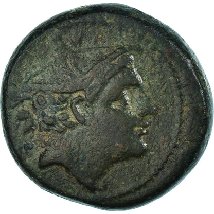 Pièce de monnaie, 
  
  Anonyme, 
  
  Semuncie