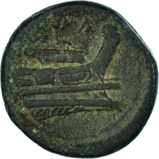 Pièce de monnaie, 
  
  Anonyme, 
  
  Semuncie