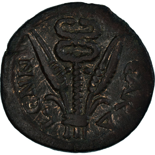 Pièce de monnaie, 

Égypte, 

Hadrien