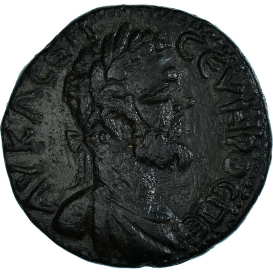 Pièce de monnaie, 
  
  Mésie inférieure, 
  
  Septime Sévère