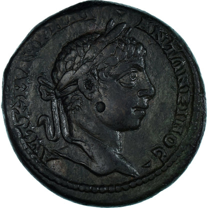 Pièce de monnaie, 
  
  Mésie inférieure, 
  
  Élagabalus