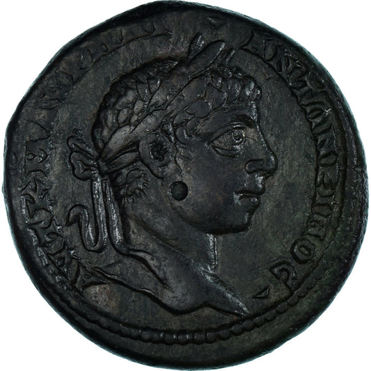Pièce de monnaie, 
  
  Mésie inférieure, 
  
  Élagabalus