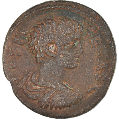 Pièce de monnaie, 
  
  Pisidie, 
  
  Géta