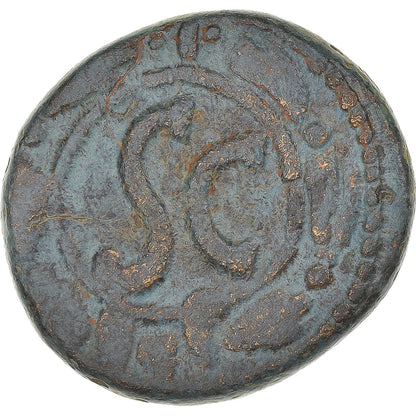 Pièce de monnaie, 
  
  Séleucis et Piérie, 
  
  Tibère