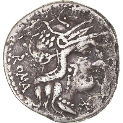 Pièce de monnaie, 
  
  Calidie, 
  
  Denier