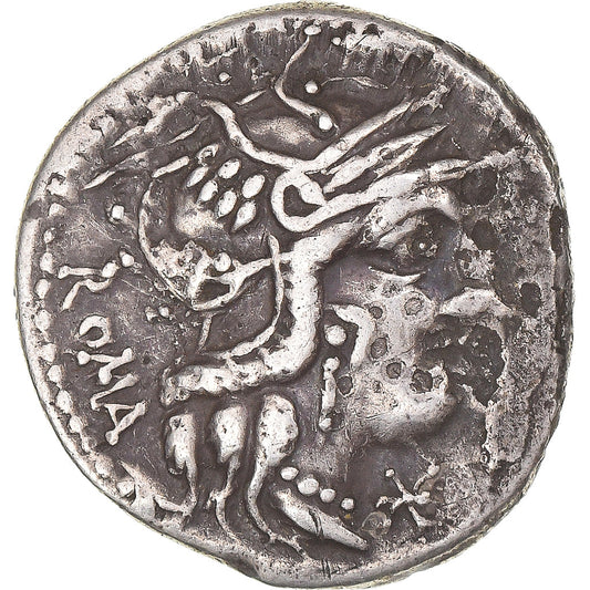 Pièce de monnaie, 
  
  Calidie, 
  
  Denier