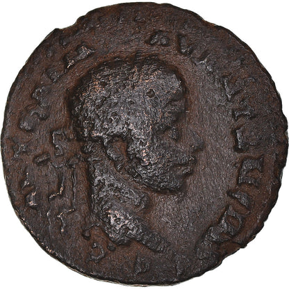 Pièce de monnaie, 
  
  Séleucis et Piérie, 
  
  Elagabalus et Julia Maesa