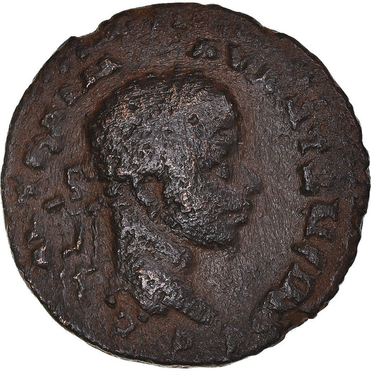 Pièce de monnaie, 
  
  Séleucis et Piérie, 
  
  Elagabalus et Julia Maesa