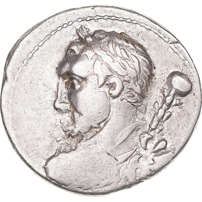 Pièce de monnaie, 
  
  Quinctia, 
  
  Denier