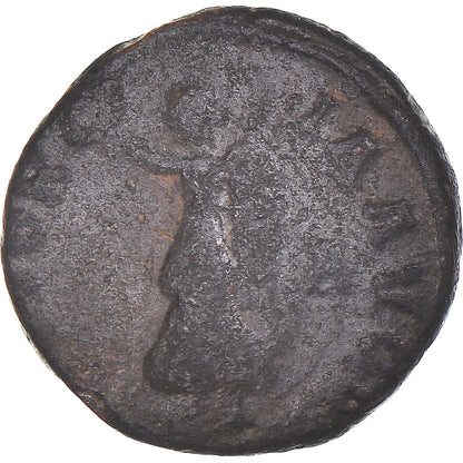 Pièce de monnaie, 
  
  époque de Maximin II, 
  
  Follis