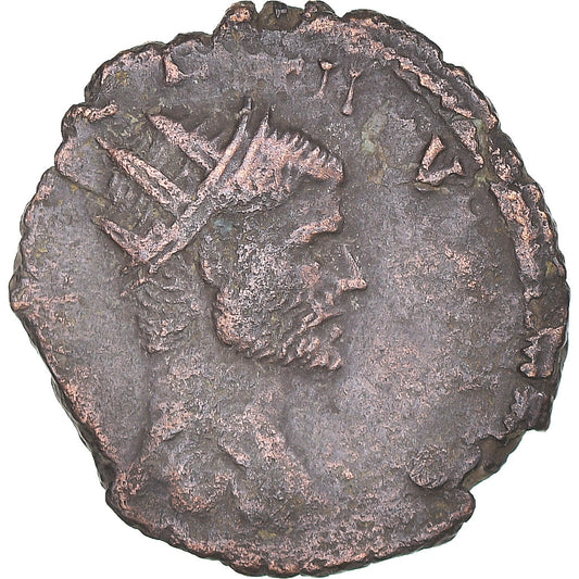 Pièce de monnaie, 
  
  Divus Claudius II Gothicus, 
  
  Antoninien