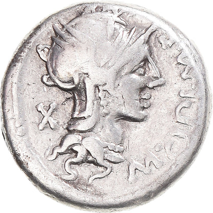 Pièce de monnaie, 
  
  Cipia, 
  
  Denier