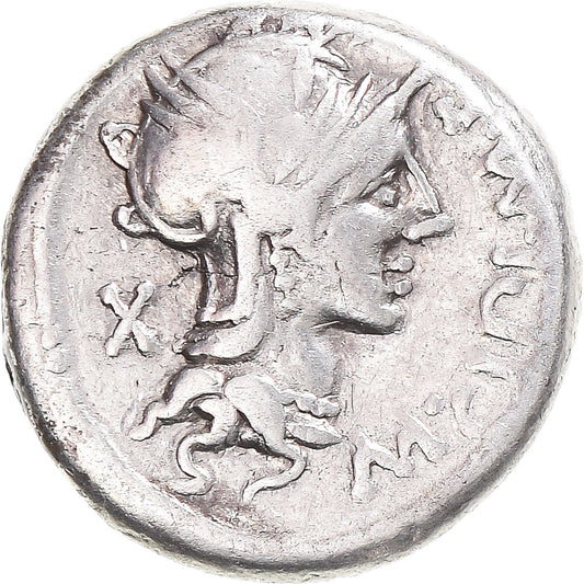 Pièce de monnaie, 
  
  Cipia, 
  
  Denier