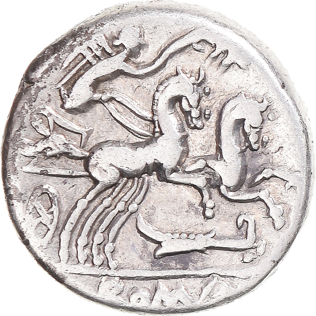 Pièce de monnaie, 
  
  Cipia, 
  
  Denier