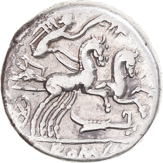 Pièce de monnaie, 
  
  Cipia, 
  
  Denier