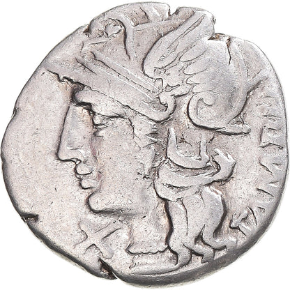 Pièce de monnaie, 
  
  Baebia, 
  
  Denier