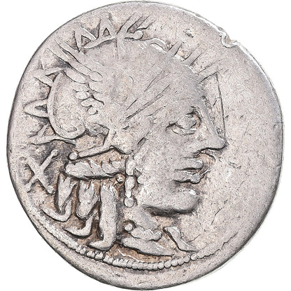 Pièce de monnaie, 
  
  Papiria, 
  
  Denier