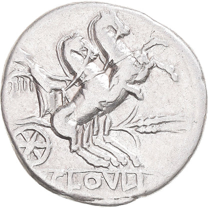Pièce de monnaie, 

Cloulia, 

Denier