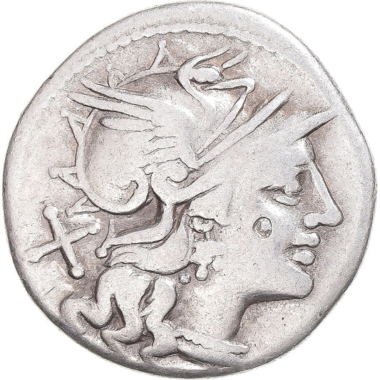 Pièce de monnaie, 
  
  Safra, 
  
  Denier