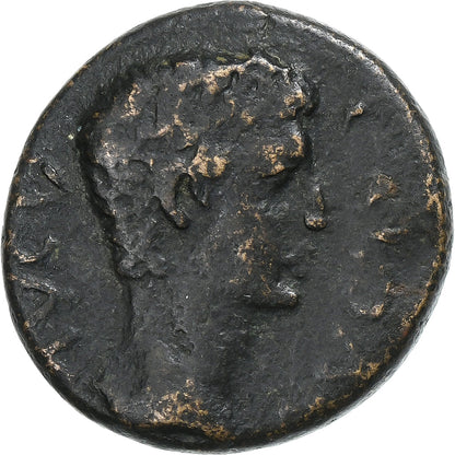 Corinthie, 
  
  Caligula, 
  
  Æ Unité