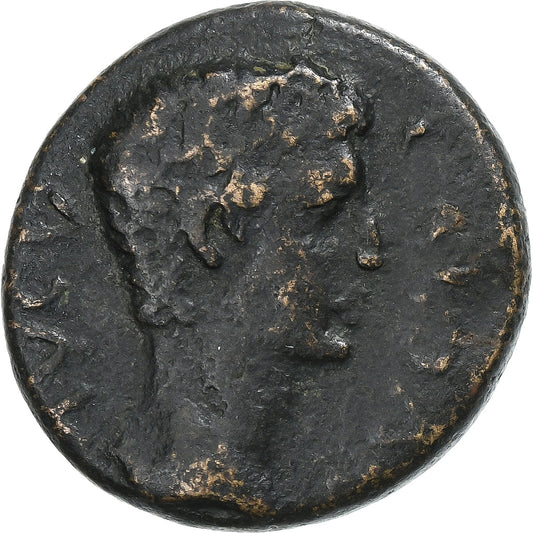 Corinthie, 
  
  Caligula, 
  
  Æ Unité