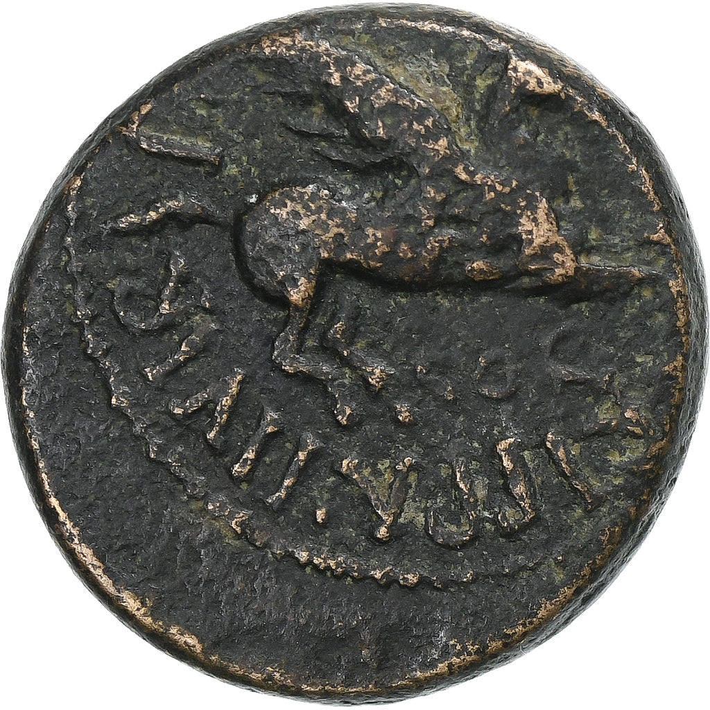 Corinthie, 
  
  Caligula, 
  
  Æ Unité