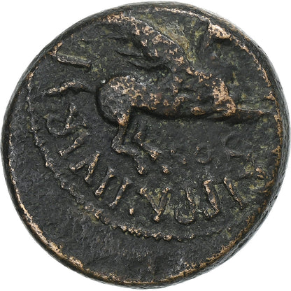 Corinthie, 
  
  Caligula, 
  
  Æ Unité
