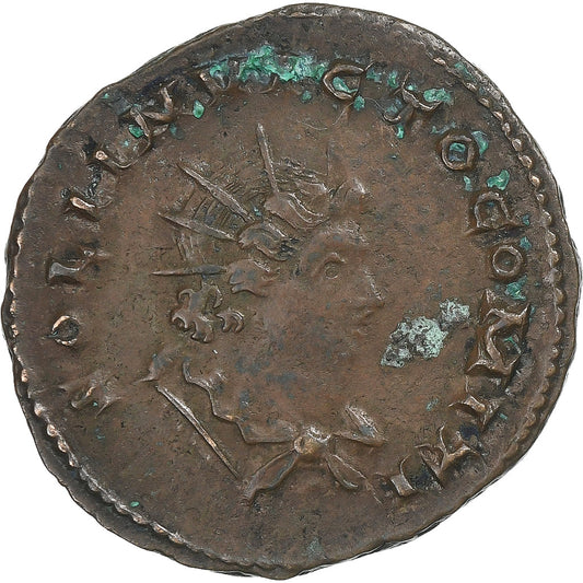 Constantin Ier, 
  
  Follis, 
  
  310-313