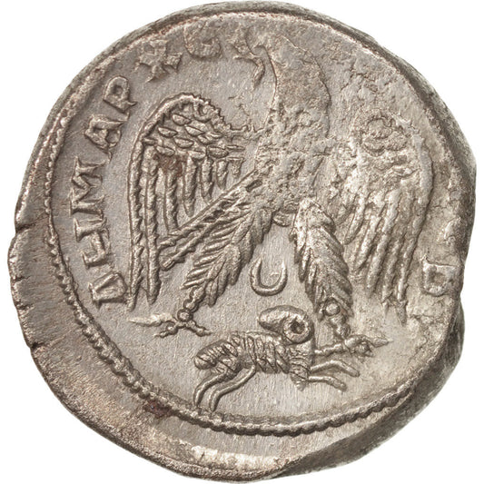 Monnaie, 

Gordien III, 

Tétradrachme