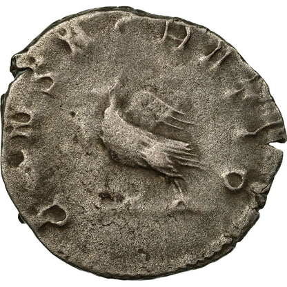 Pièce de monnaie, 

Valérien II, 

Antoninien