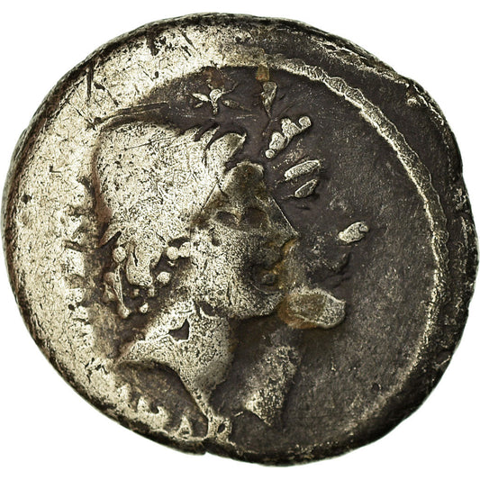 Pièce de monnaie, 
  
  Cordia, 
  
  Denier