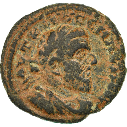 Pièce de monnaie, 
  
  Séleucis et Piérie, 
  
  Macrin