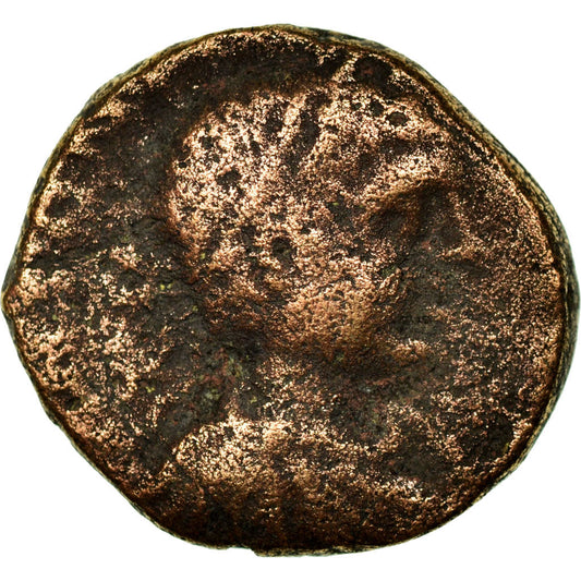 Pièce de monnaie, 

Judée, 

Antipatras